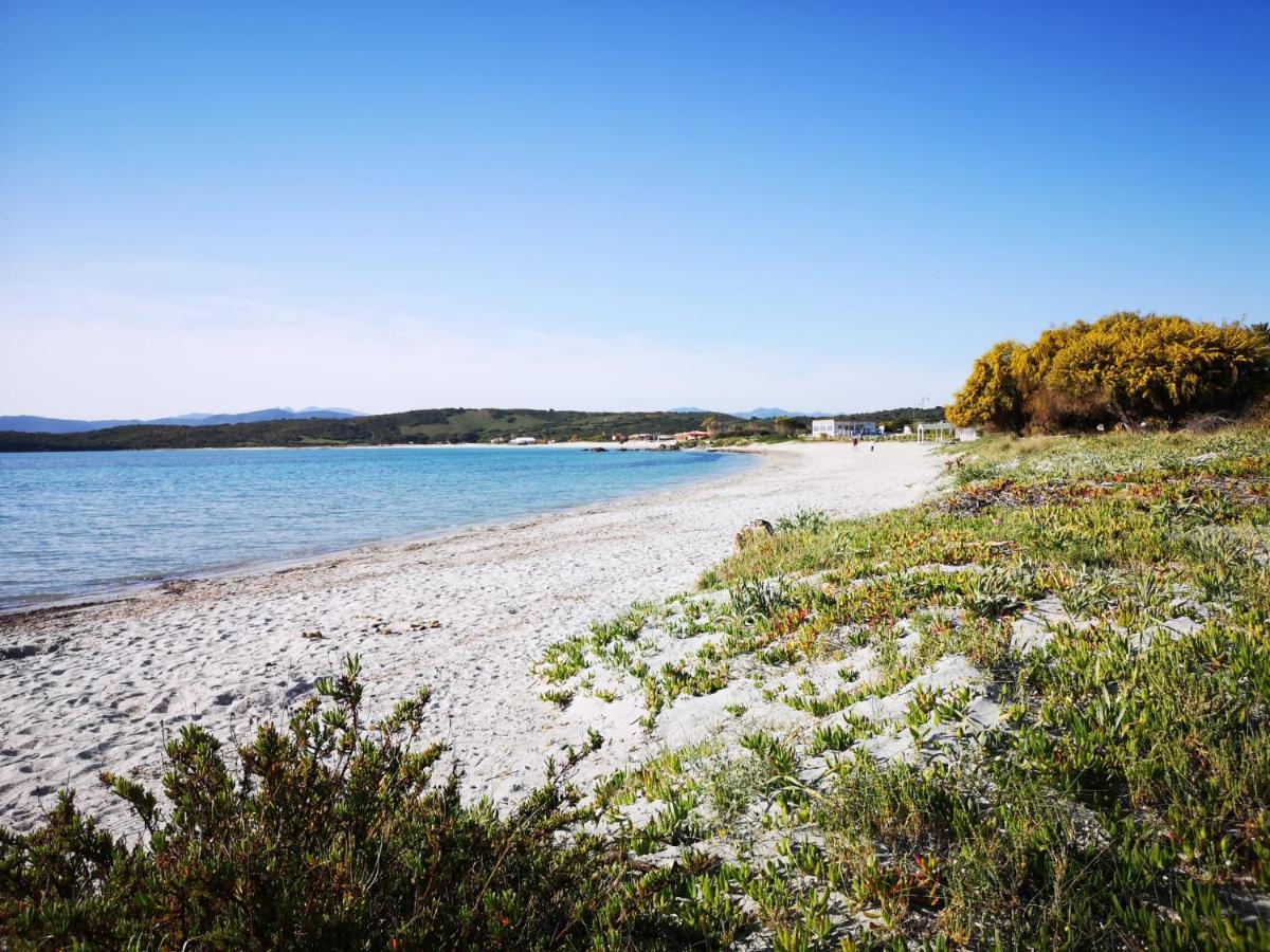 Insardinia House Trilocale A 200Mt Dalla Spiaggia Olbia Exterior foto