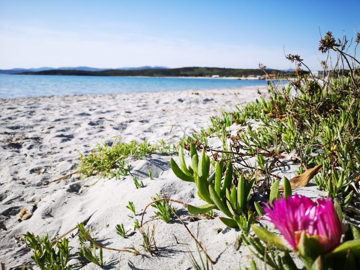 Insardinia House Trilocale A 200Mt Dalla Spiaggia Olbia Exterior foto